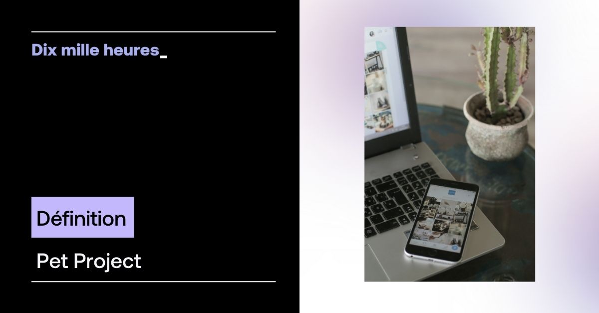 C'est quoi un Pet Project ? Définition et traduction
